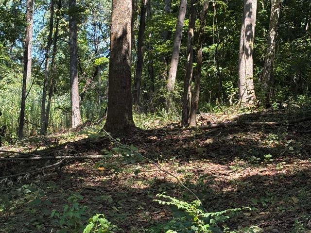 Land for sale in Cartwright, Athens