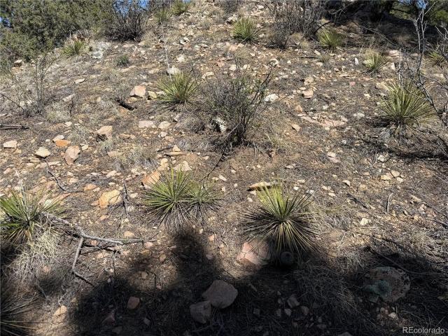 Land for sale in Fort Garland, Colorado