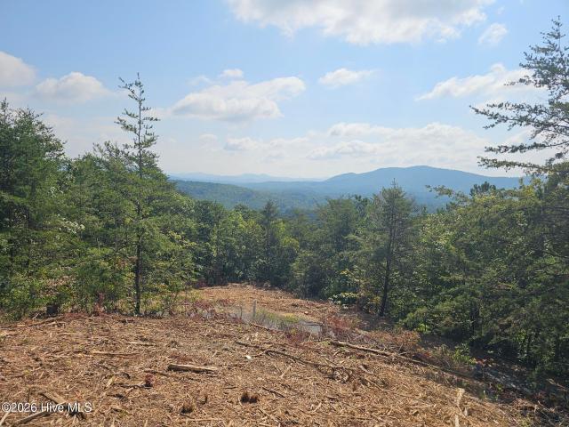 Land for sale in Murphy, Cherokee County