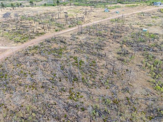 Land for sale in Fort Garland, Colorado