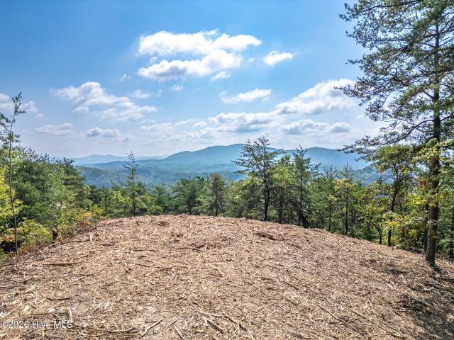 Land for sale in Murphy, Cherokee County
