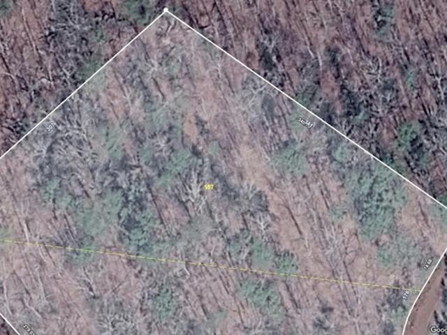 Land for sale in Dunlap, East Tennessee