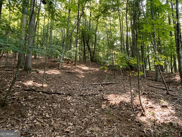 Land for sale in Blairsville, Union County