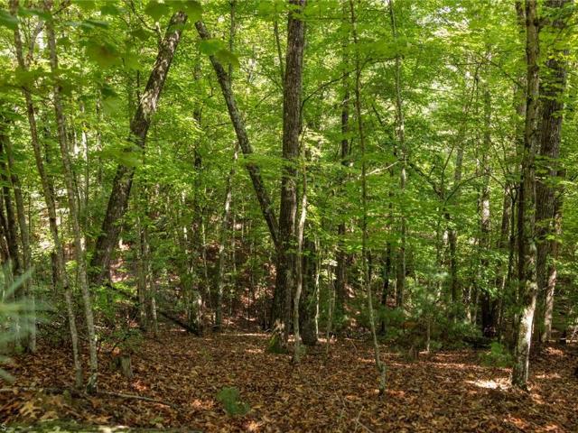 Land for sale in North Carolina