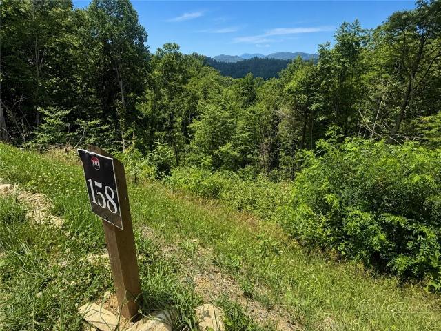 Land for sale in Avery, North Carolina