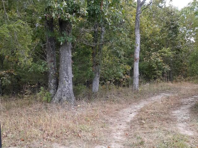 Land for sale in Cynthiana, Kentucky