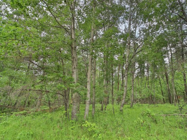 Land for sale in Crosslake, Minnesota