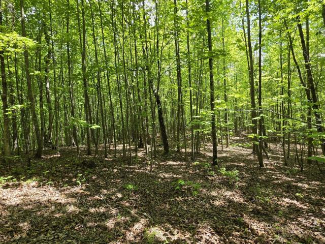 Land for sale in Tennessee