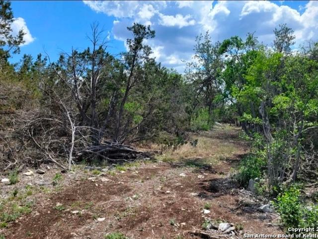 Land for sale in Medina, Texas