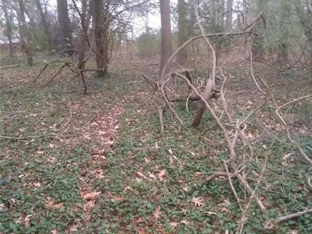 Land for sale in Virginia
