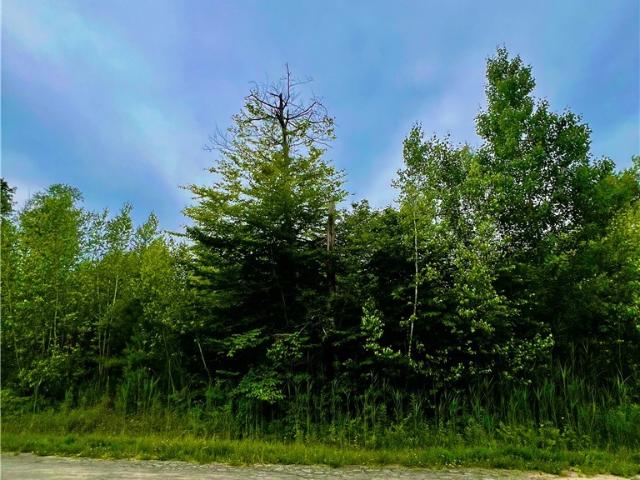 Land for sale in Oneida, New York