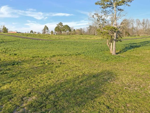 Land for sale in Rainsville, Alabama