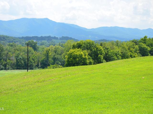 Land for sale in Tennessee