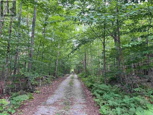 Land for sale in Ontario