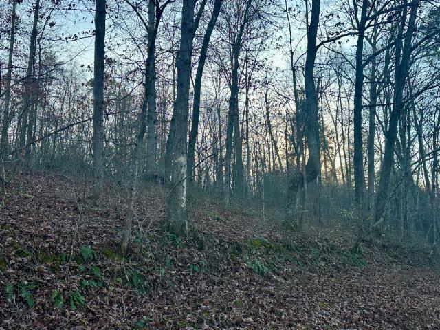 Land for sale in Laurel, Kentucky