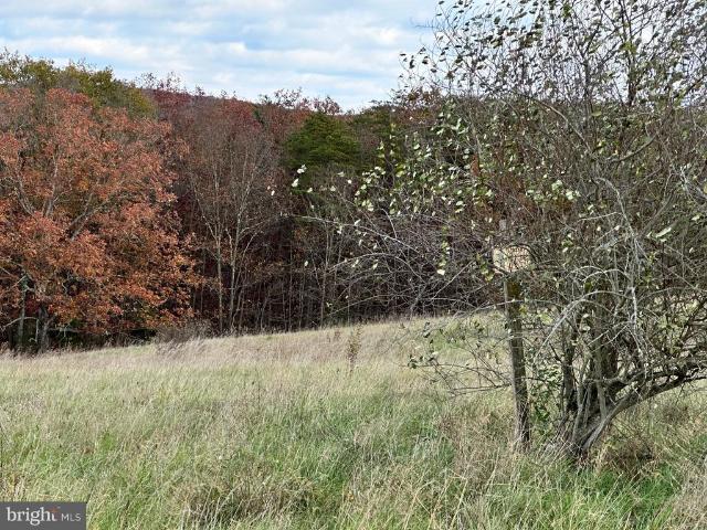 Land for sale in Keyser, Mineral County