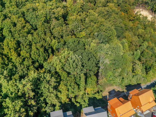 Land for sale in Tennessee