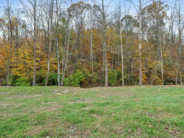 Land for sale in Powell, Kentucky