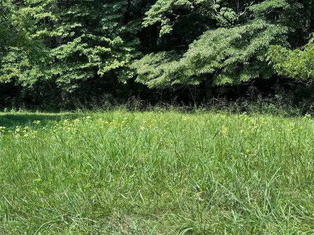 Land for sale in Fountain Run, Kentucky