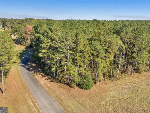 Land for sale in Dublin, Georgia