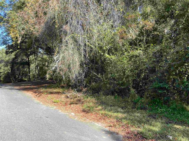 Land for sale in Quincy, Florida