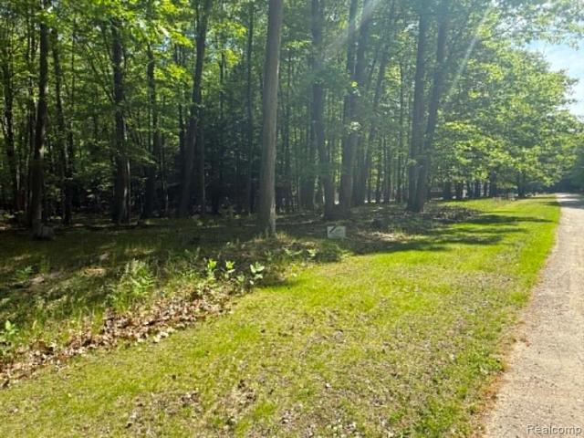 Land for sale in Michigan