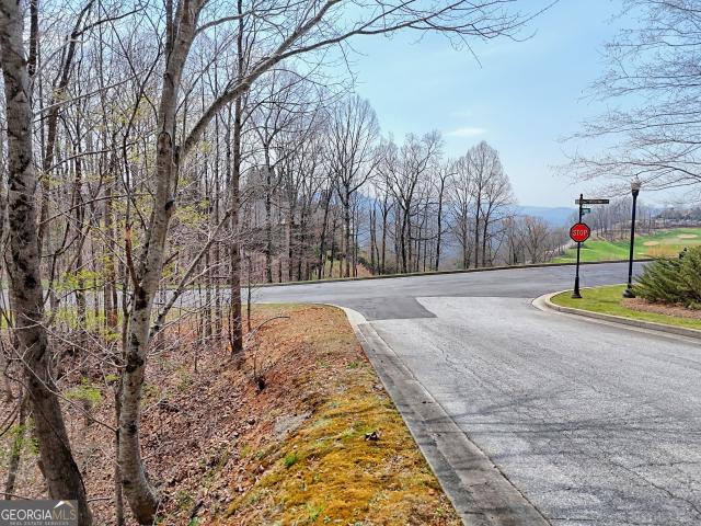 Land for sale in Clayton, Georgia