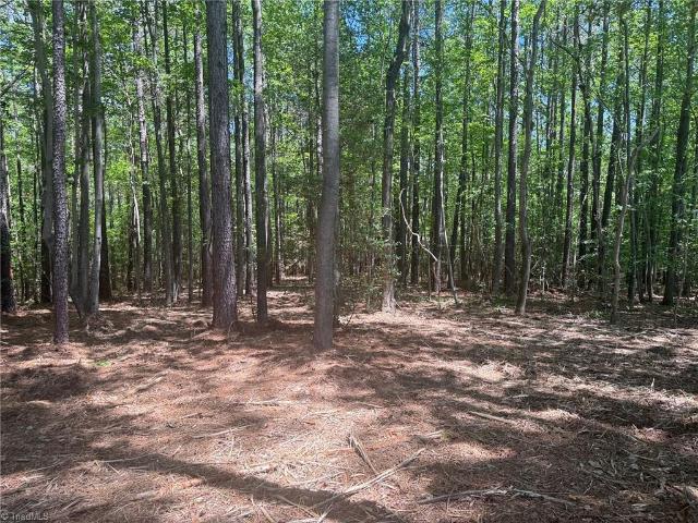 Land for sale in Dover, Seagrove