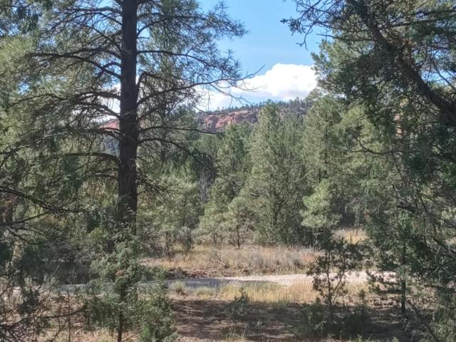 Land for sale in Ramah, New Mexico