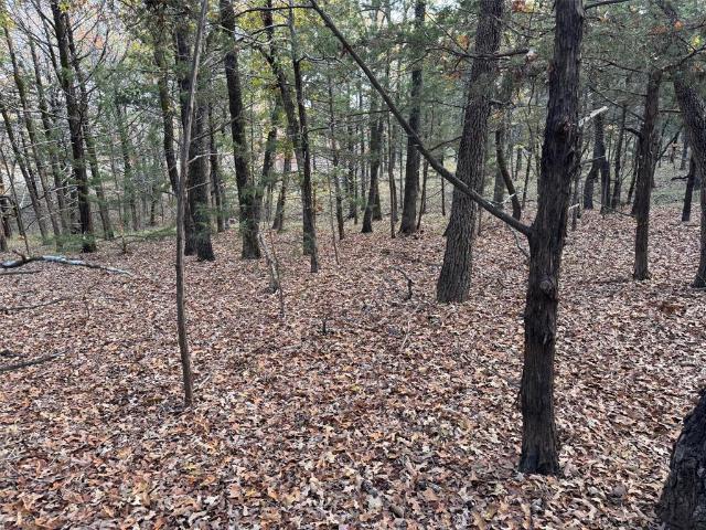 Land for sale in Texas