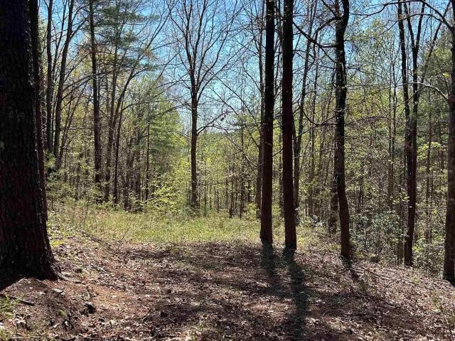 Land for sale in South Carolina