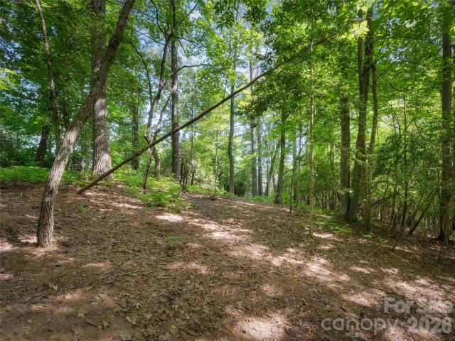 Land for sale in Transylvania, North Carolina