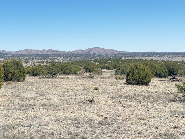 Land for sale in Magdalena, New Mexico