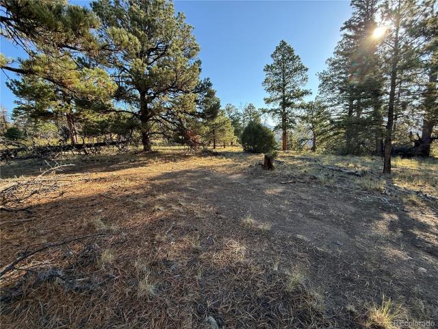 Land for sale in Fort Garland, Colorado