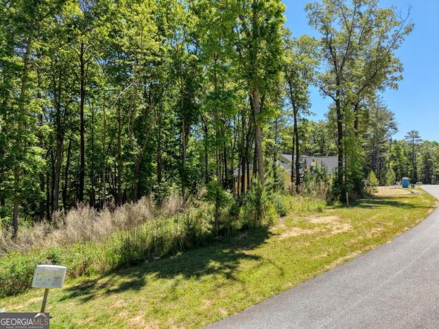 Land for sale in Blairsville, Georgia
