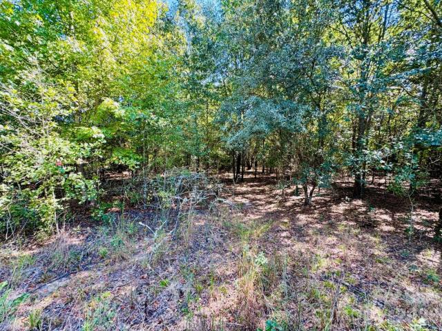 Land for sale in Robinson, Cheraw