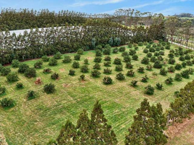 Property for sale in Mangawai, Northland