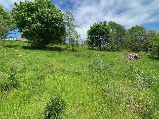 Land for sale in Ark