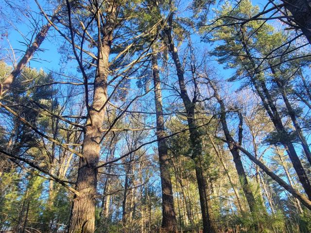 Land for sale in Wisconsin