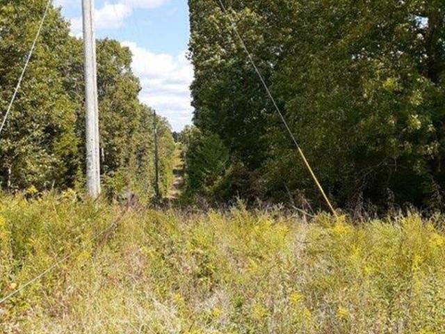 Land for sale in Cynthiana, Kentucky