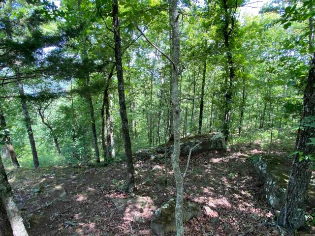 Land for sale in Ark