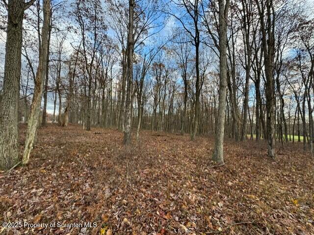 Land for sale in Harleigh, Pennsylvania