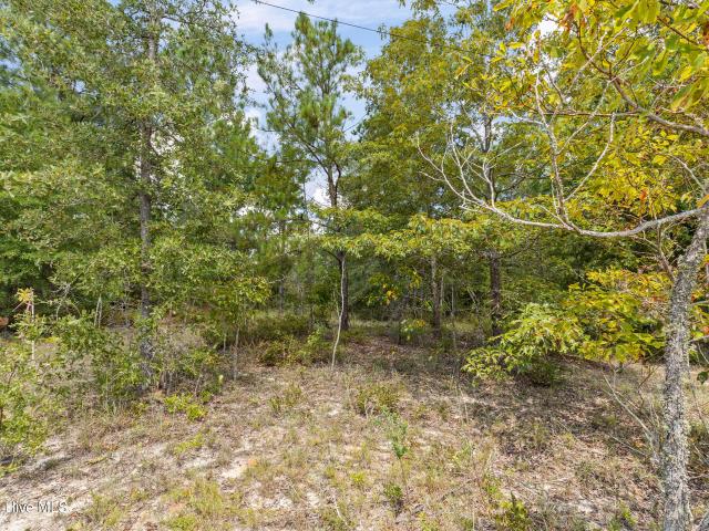 Land for sale in Keysville, Georgia