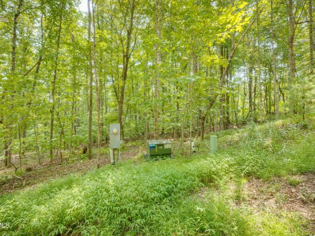 Land for sale in Tennessee