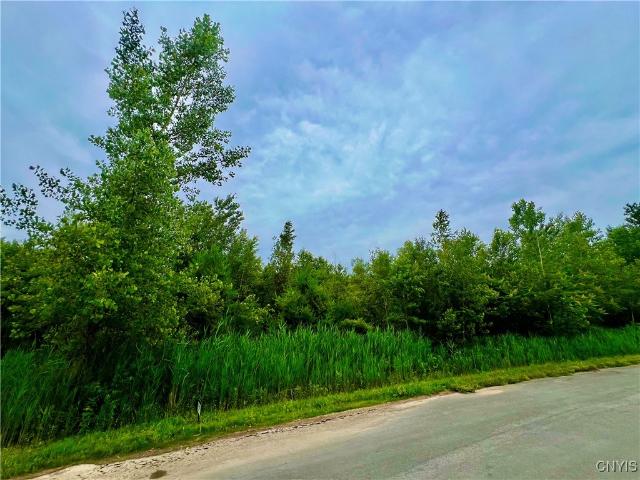Land for sale in Oneida, New York