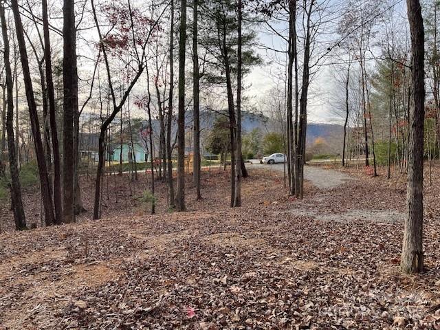 Land for sale in Rutherfordton, North Carolina