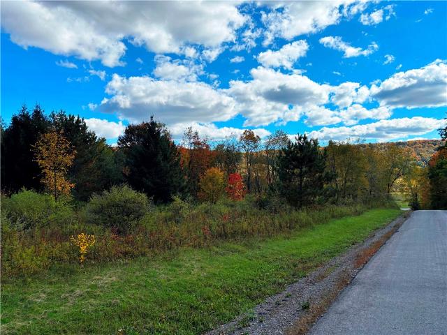 Land for sale in Town of Sherburne, Chenango County