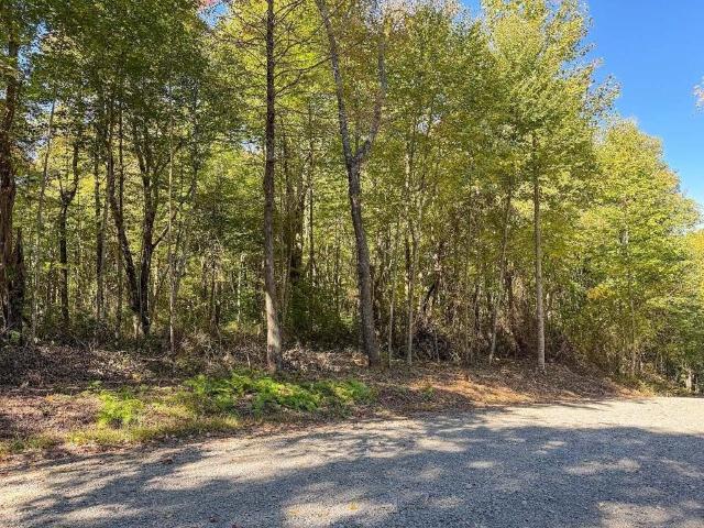 Land for sale in Meadows of Dan, Patrick County