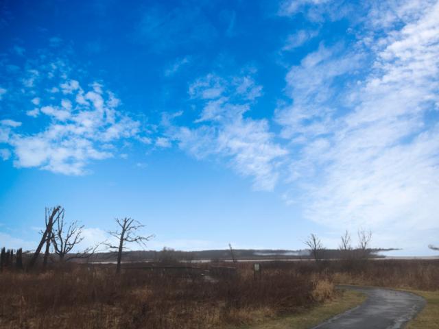 Land for sale in Mchenry, Illinois