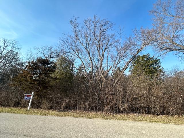 Land for sale in Richmond, McHenry County